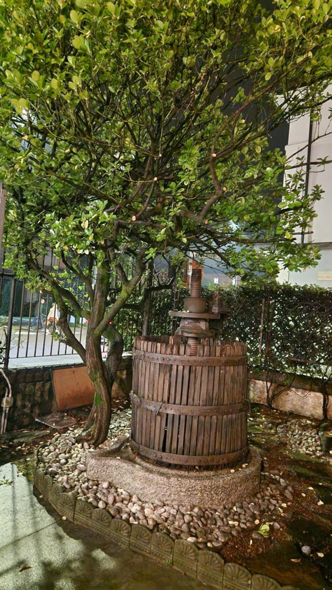 Villa Cavalleri Gattinara ภายนอก รูปภาพ